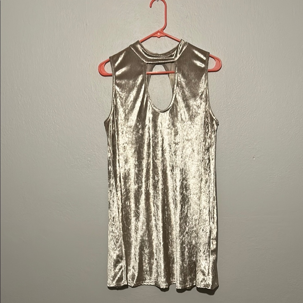Silver Sleeveless Velvet Top